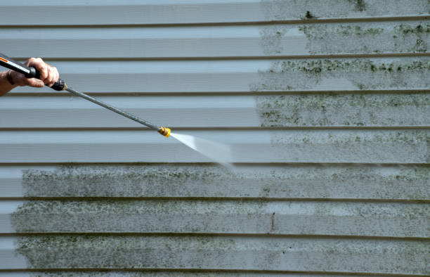 Best Pressure Washing Siding  in Escatawpa, MS