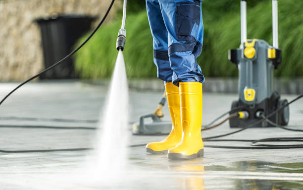 Best Roof Pressure Washing  in Escatawpa, MS
