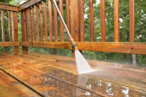 Best Affordable Pressure Washing  in Escatawpa, MS