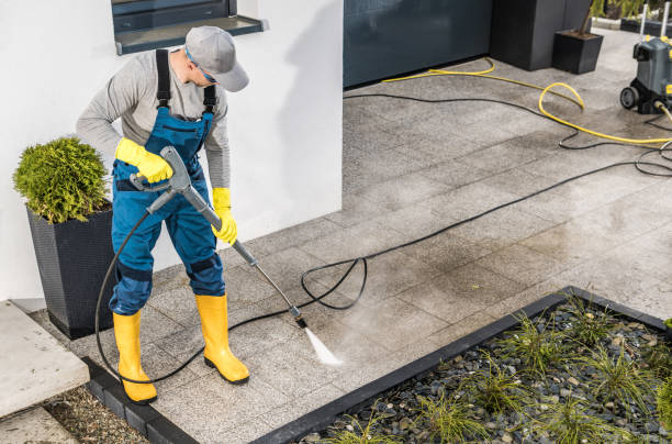 Best Best Pressure Washing Companies  in Escatawpa, MS