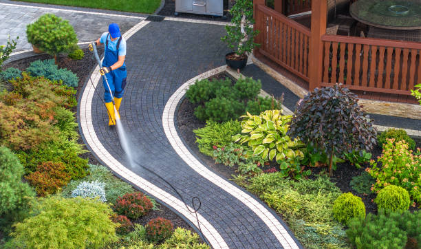 Best Concrete Pressure Washing  in Escatawpa, MS